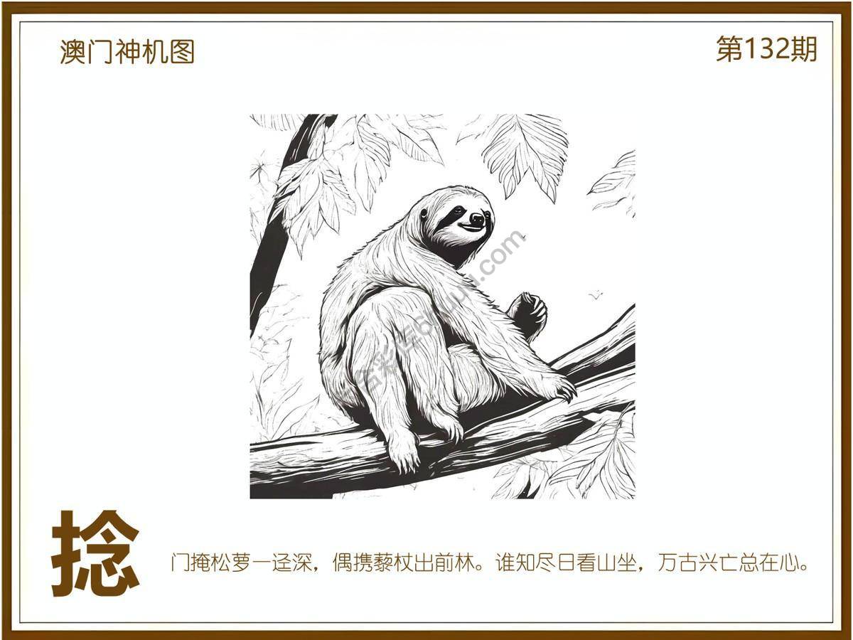 澳门神机图