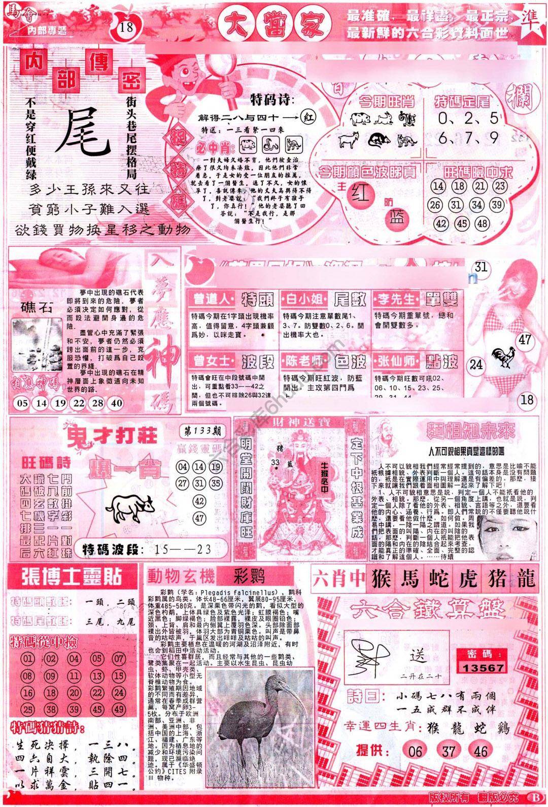 大当家