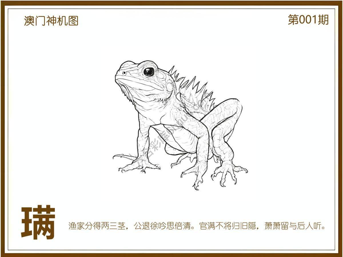 澳门神机图