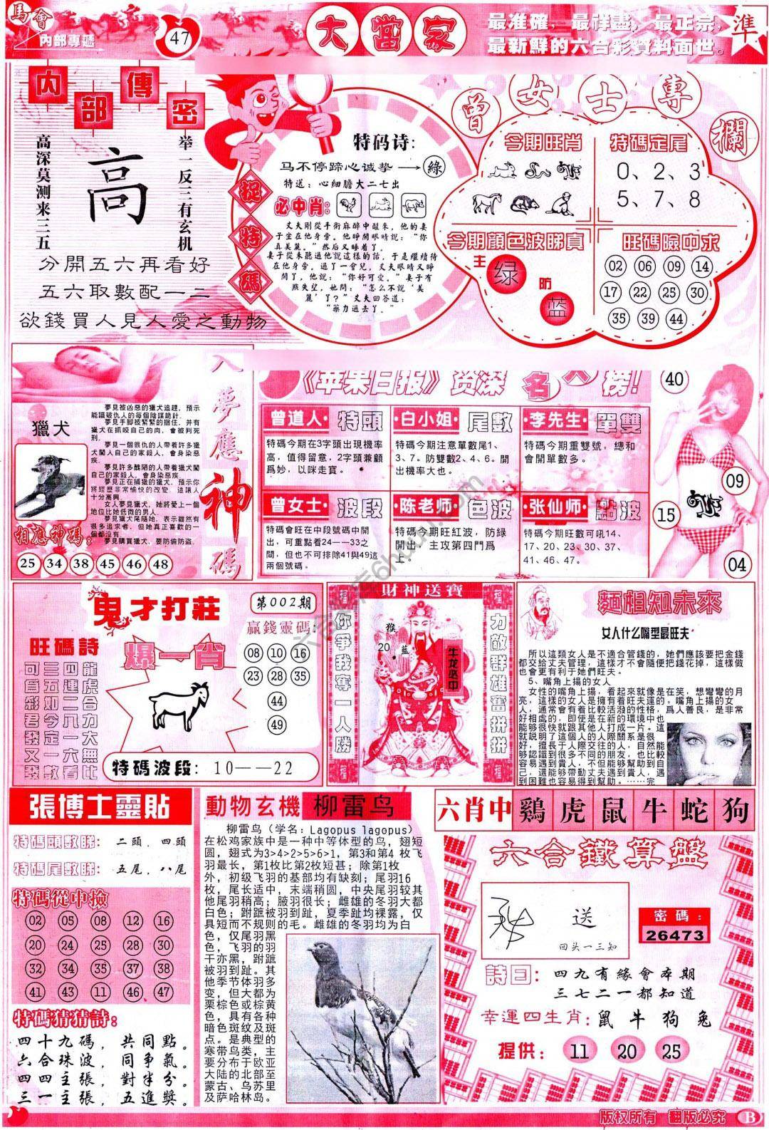 大当家