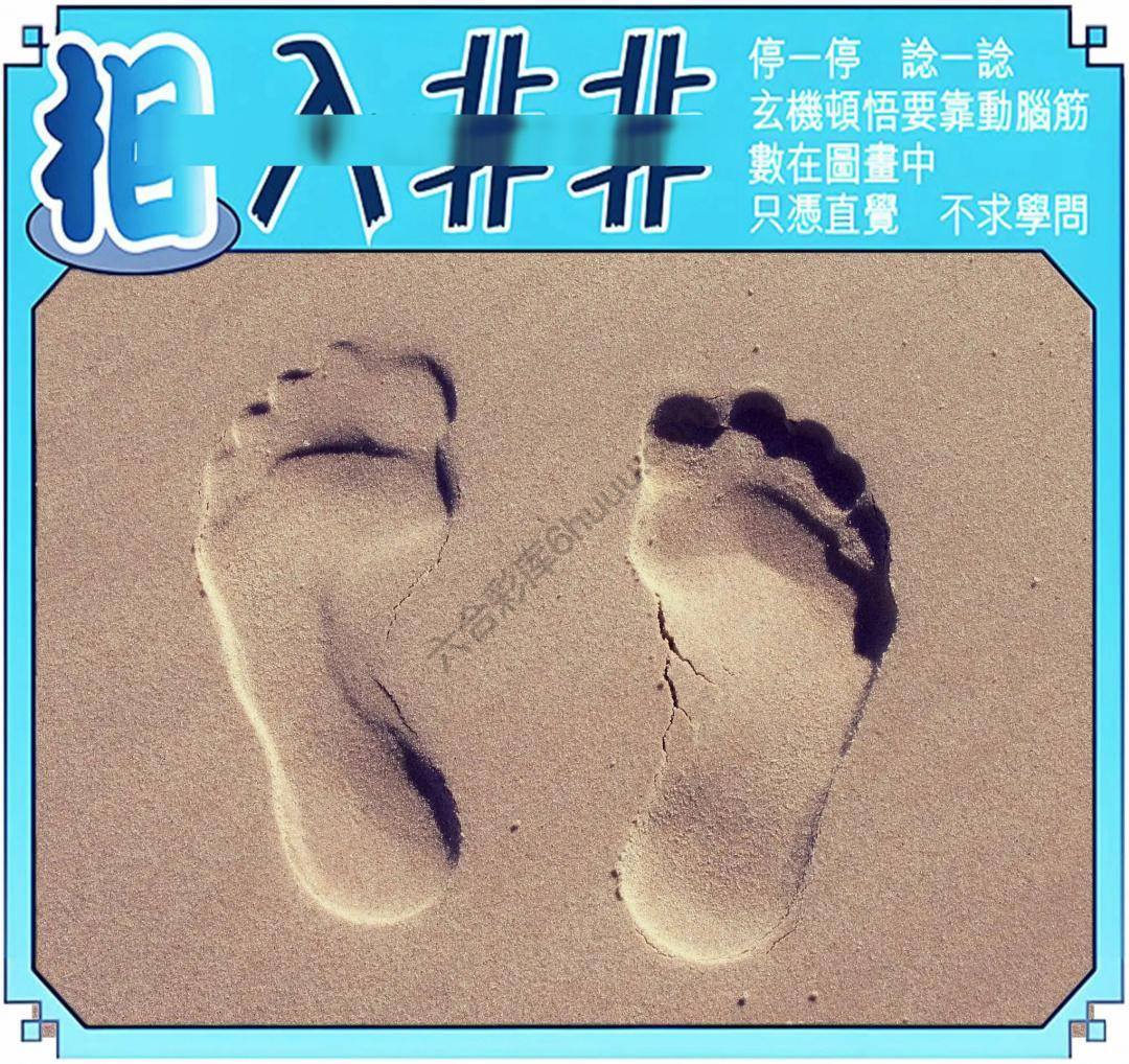 相入非非