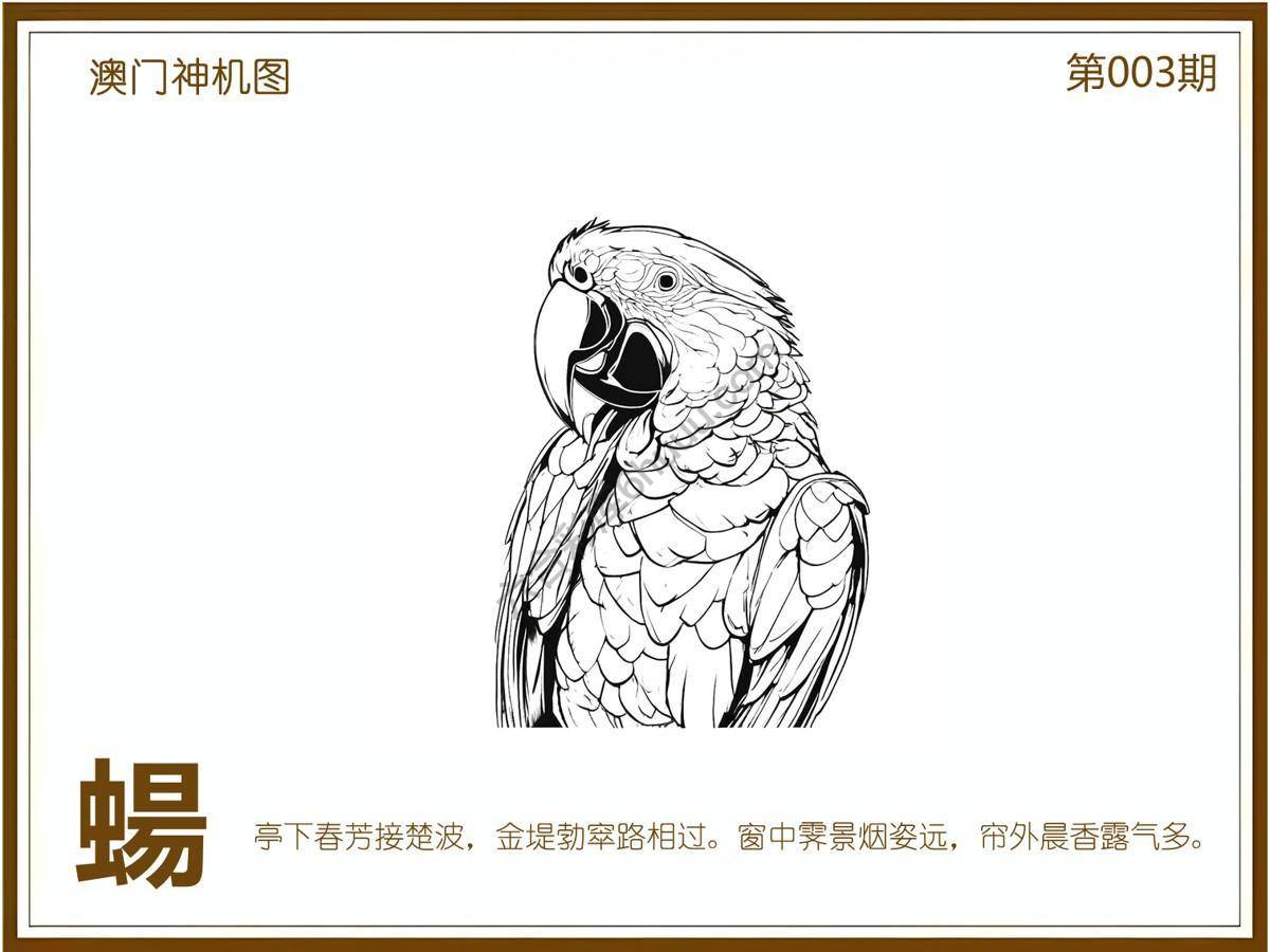 澳门神机图