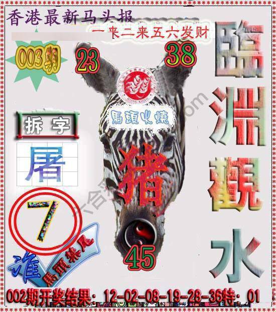 香港马头报