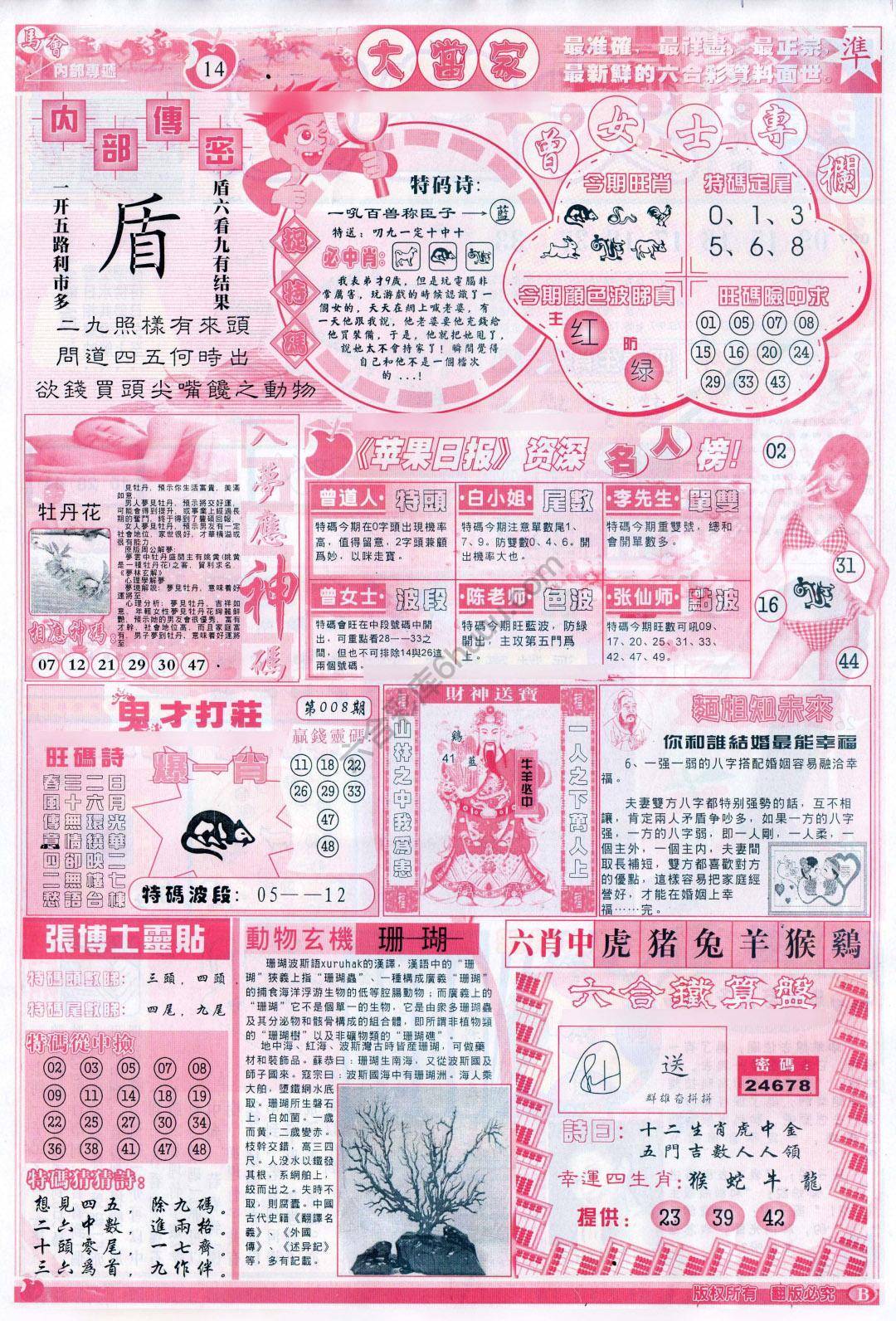 大当家