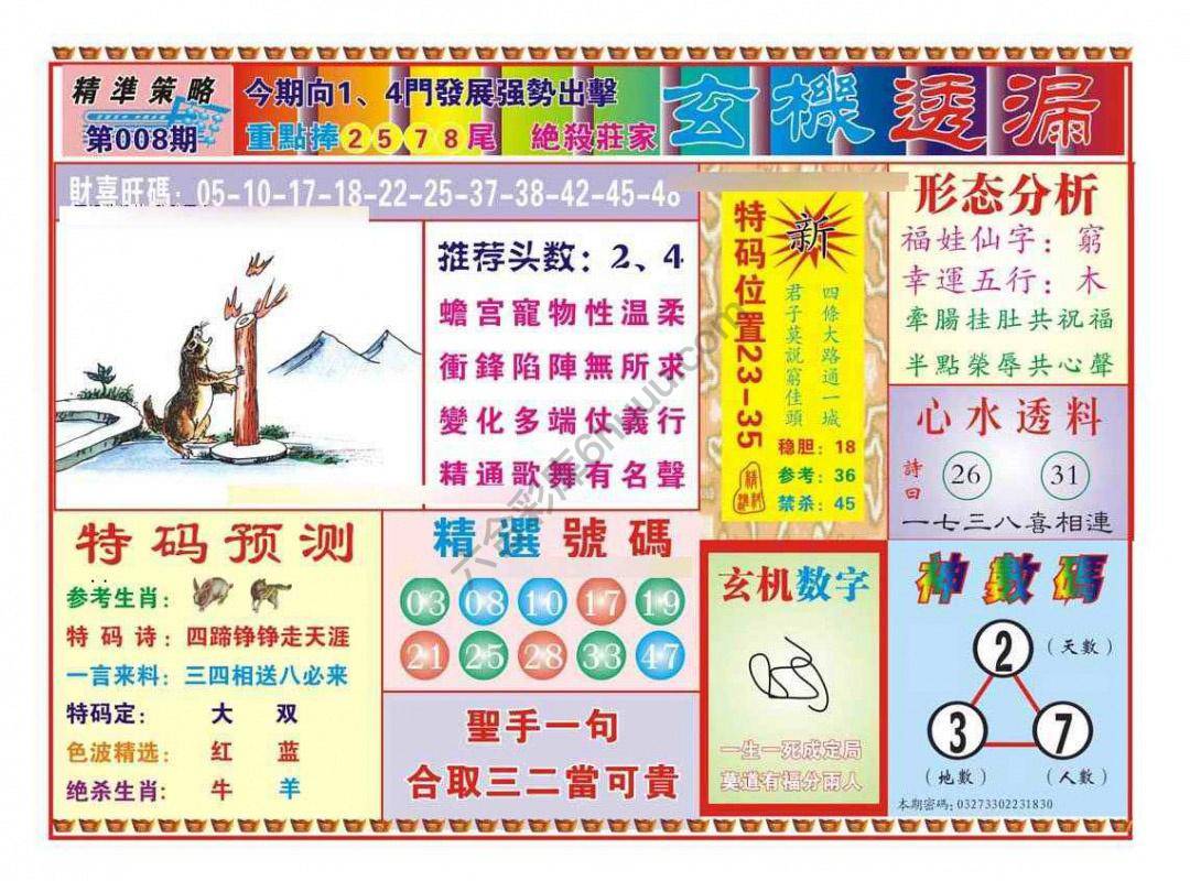 玄机透漏