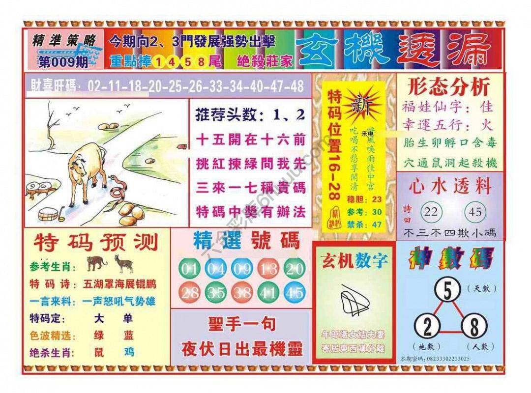 玄机透漏