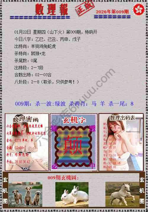 数理报