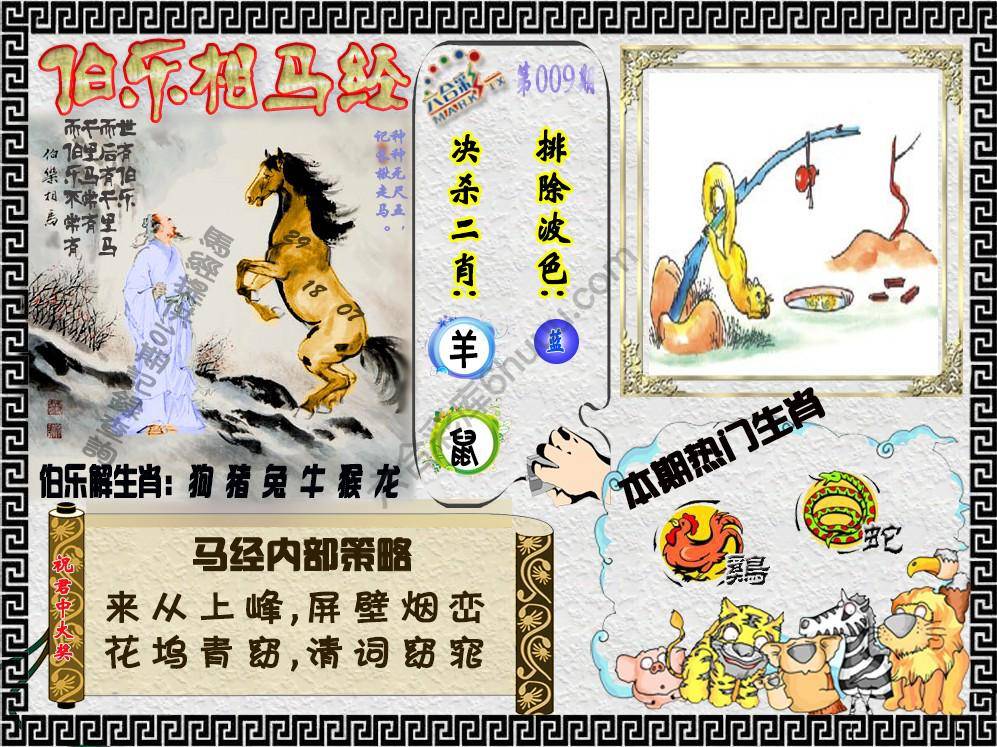 伯乐相马经