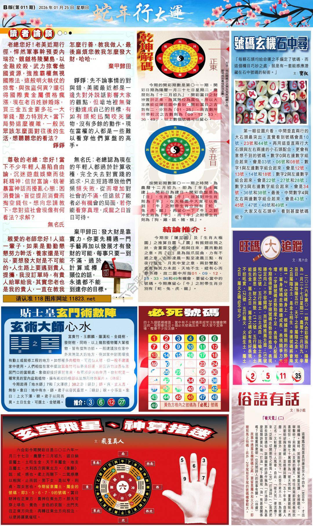 大版贴士皇