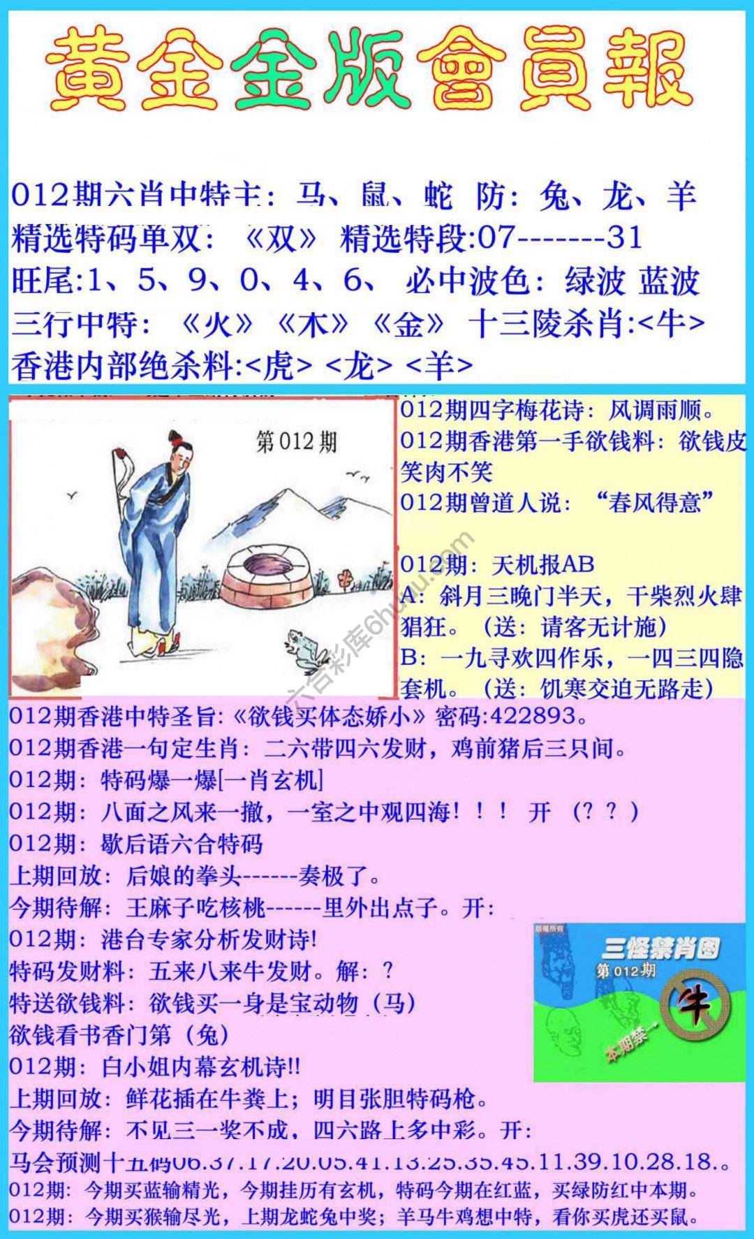 黄金金版会员报