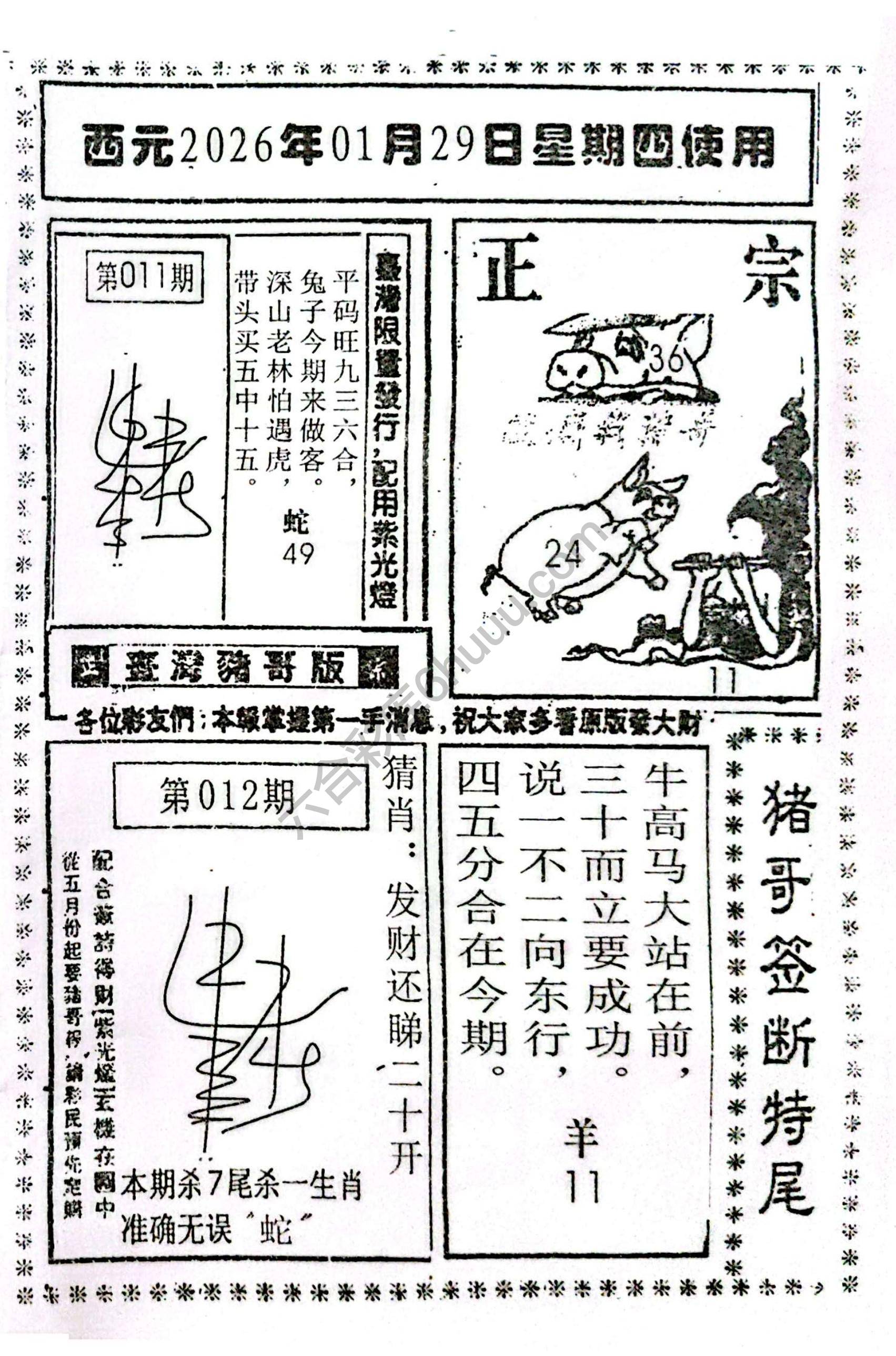 猪哥签断特尾