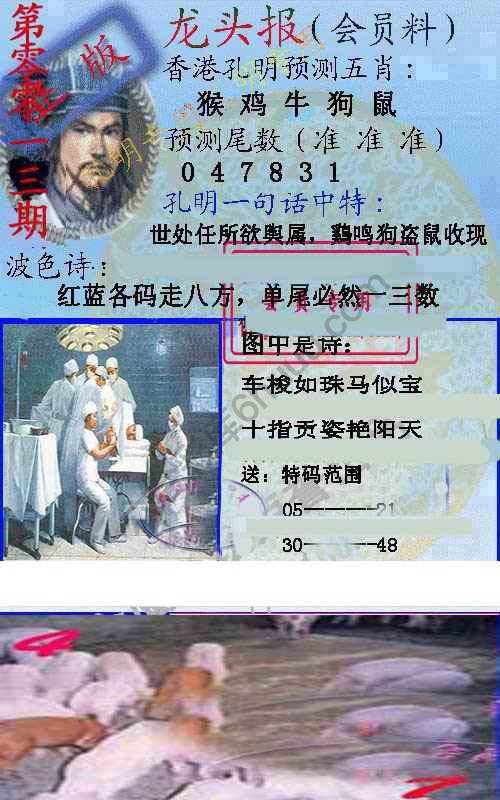 龙头报