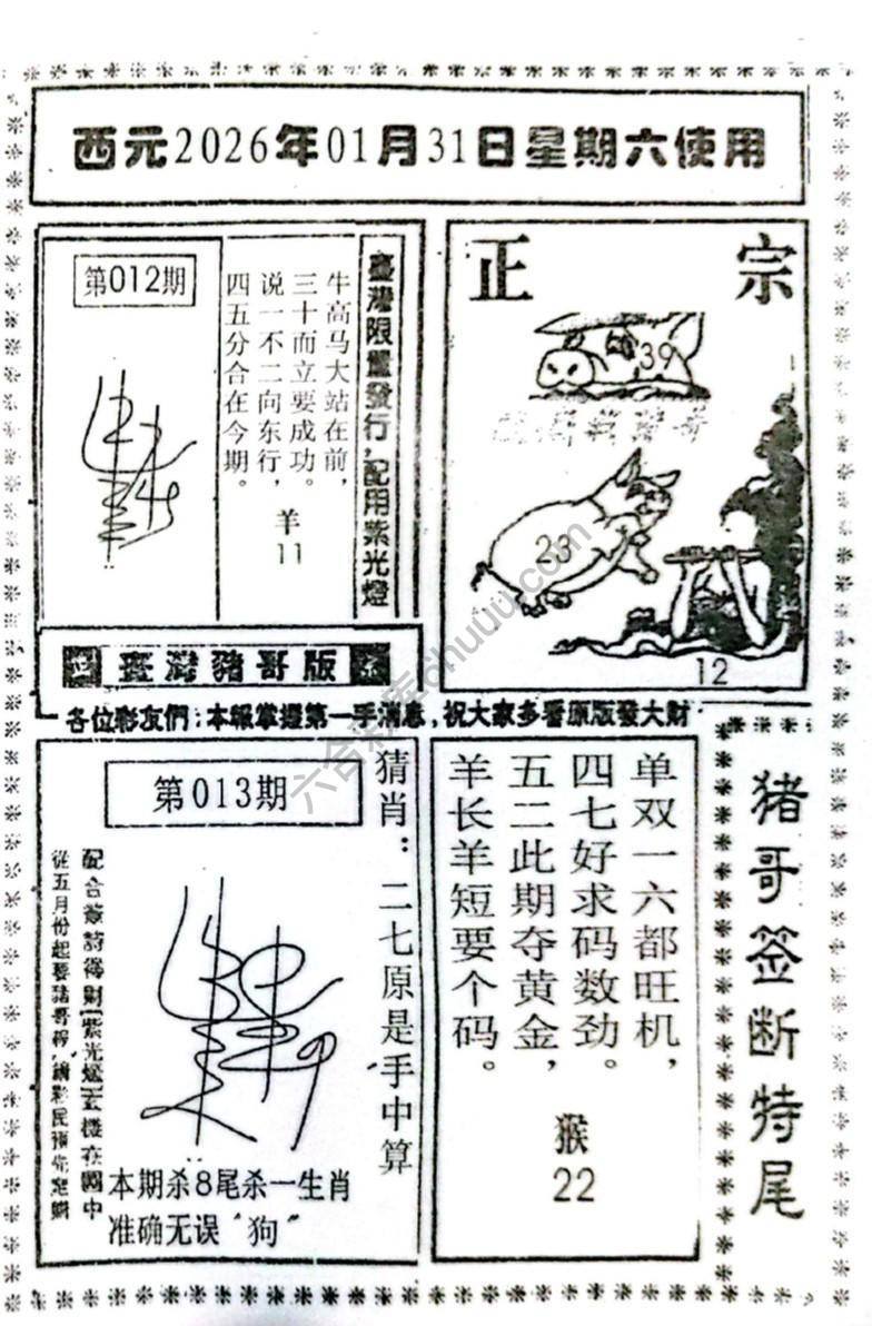 猪哥签断特尾