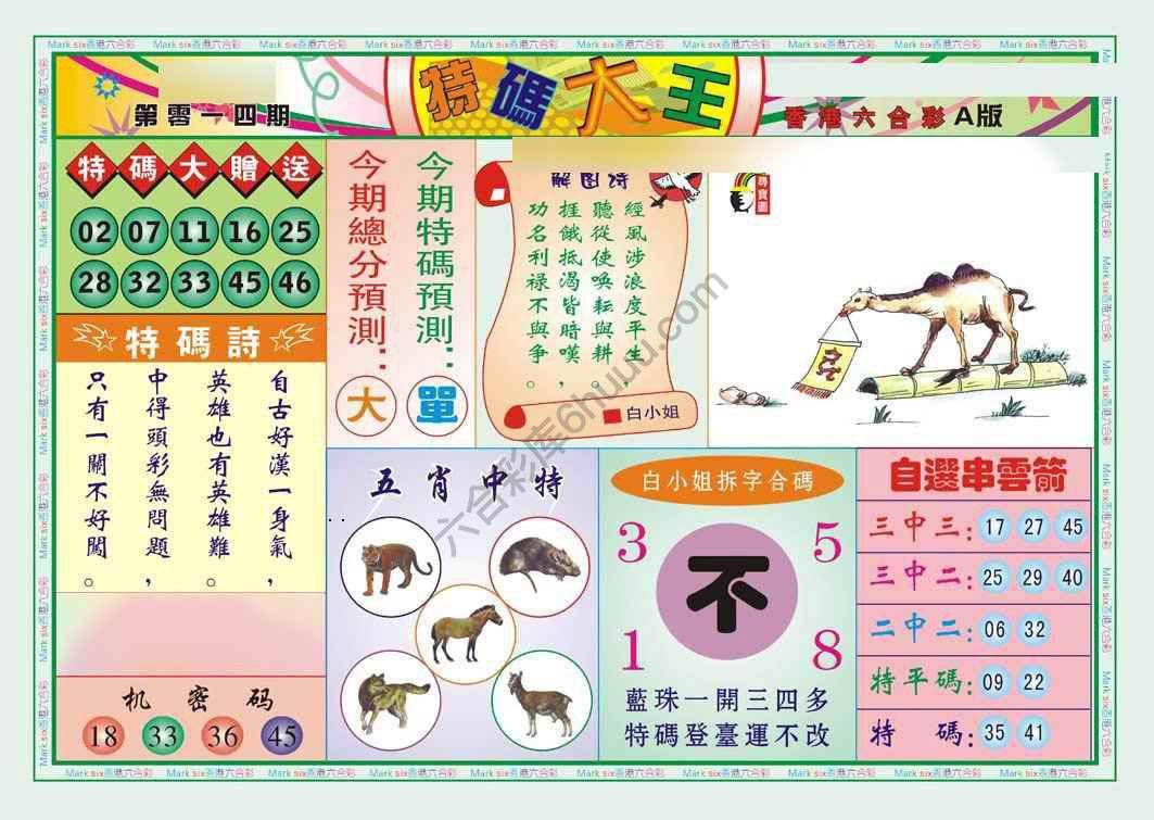 特码大王