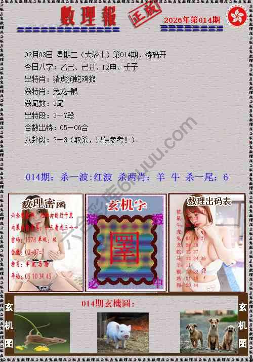 数理报