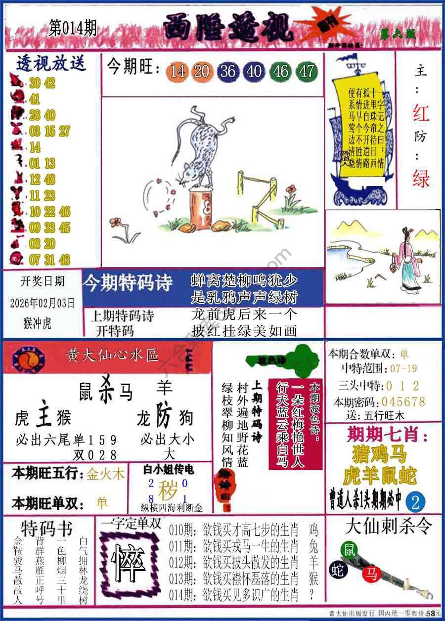西陲透视（正版）