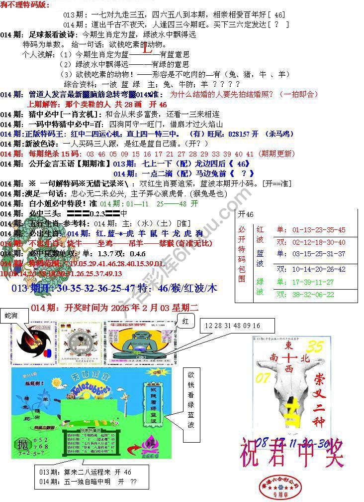 青龙五鬼报