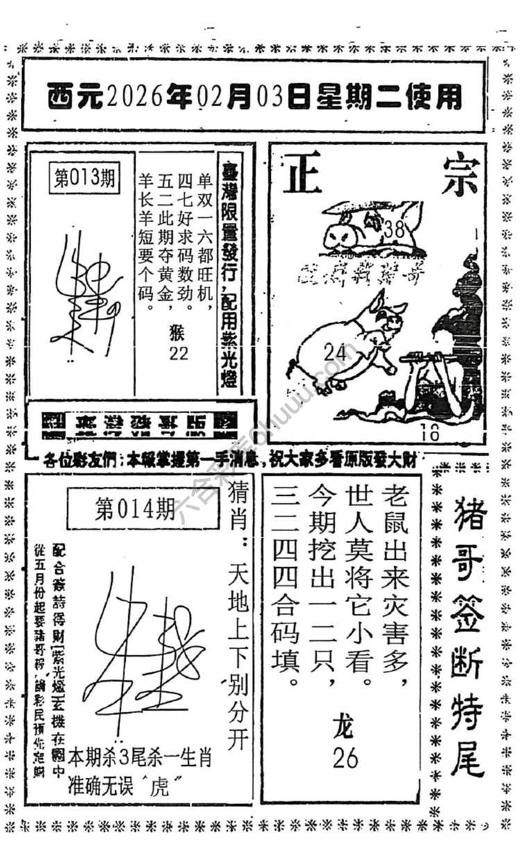 猪哥签断特尾