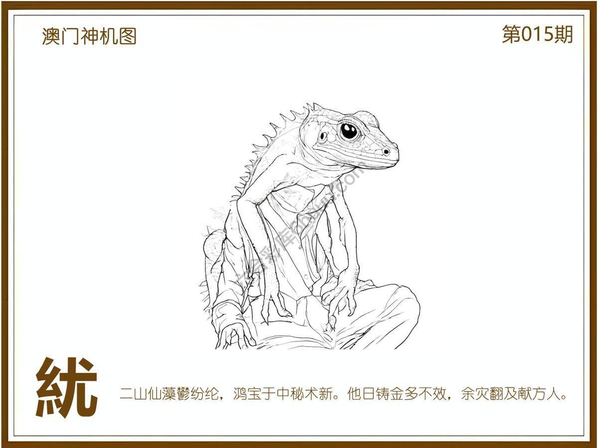 澳门神机图