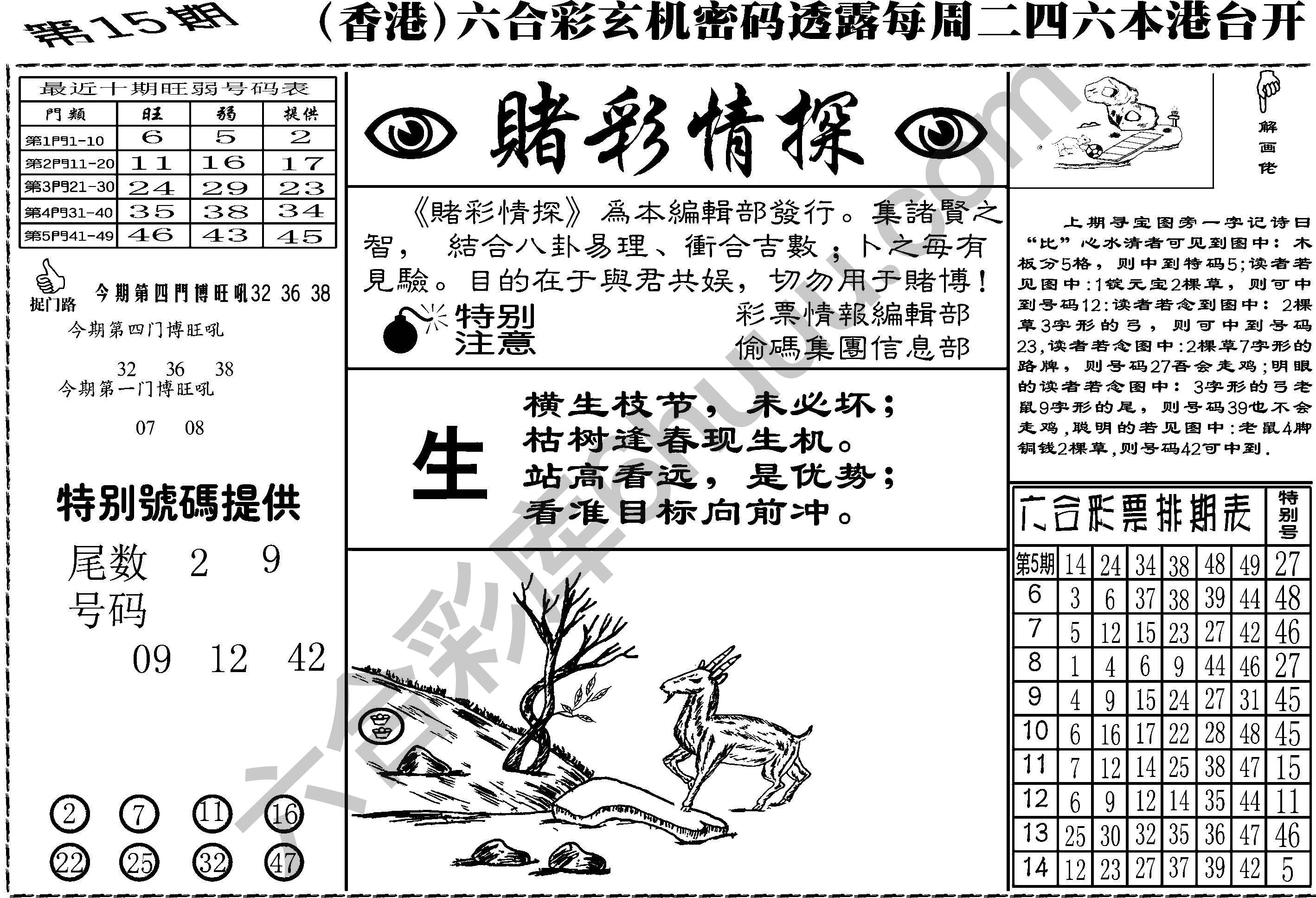 赌彩情探