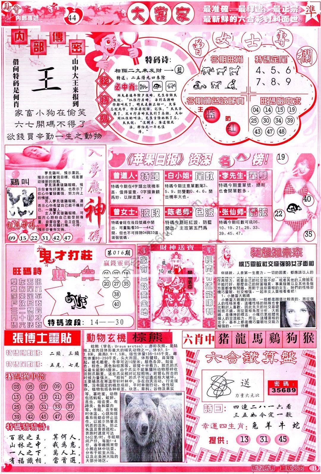 大当家