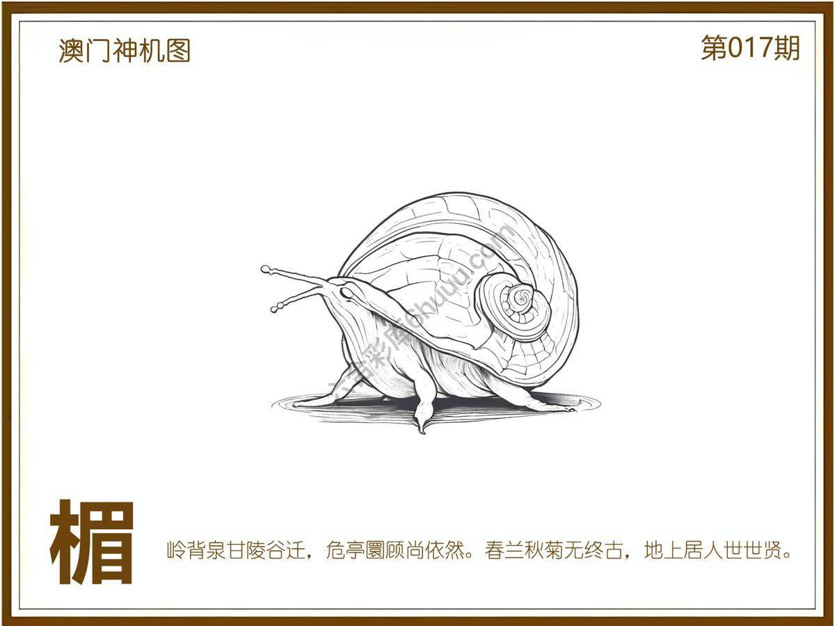 澳门神机图