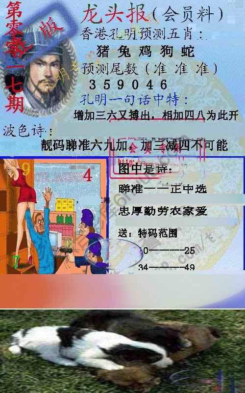 龙头报