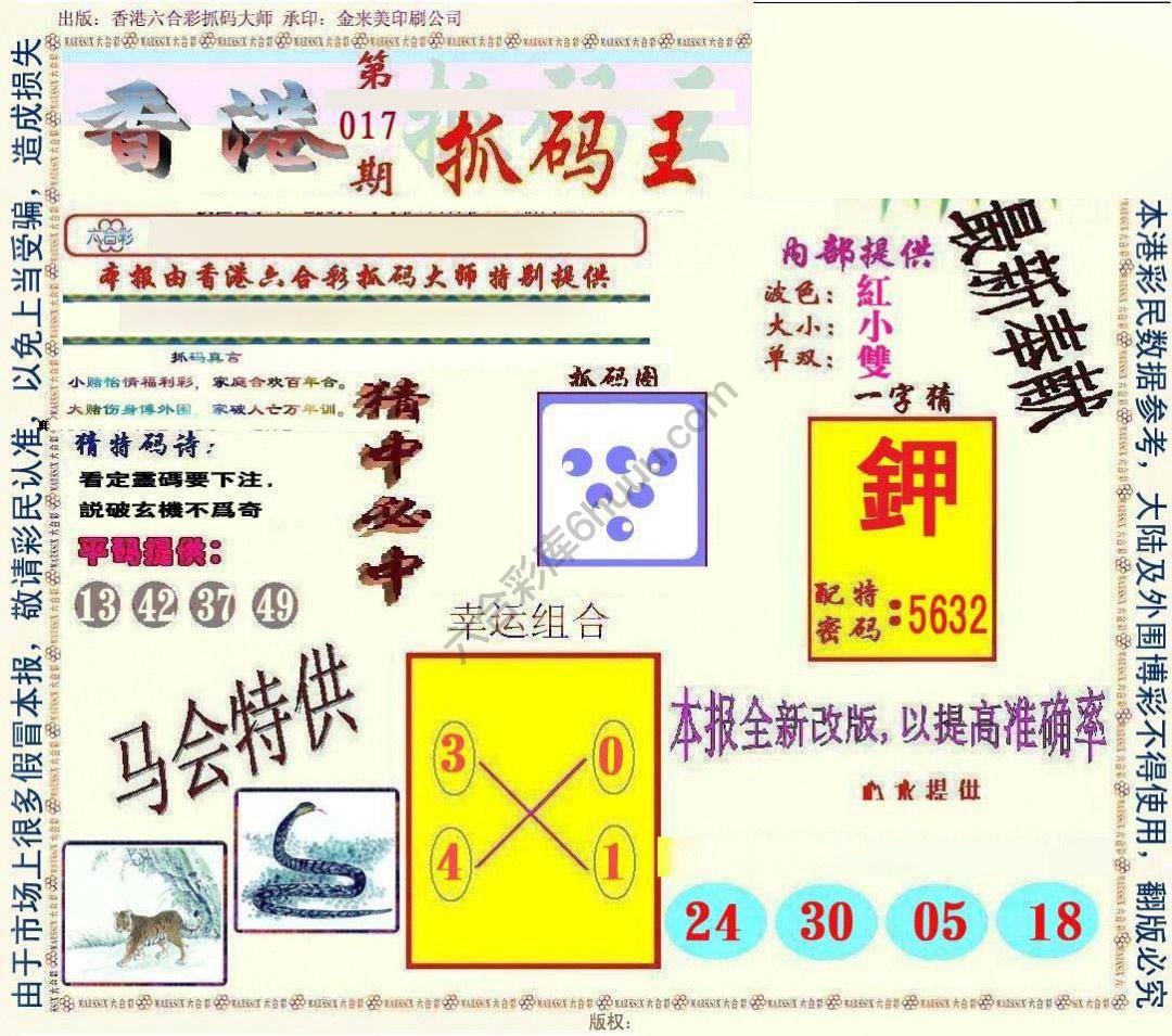 新抓码王