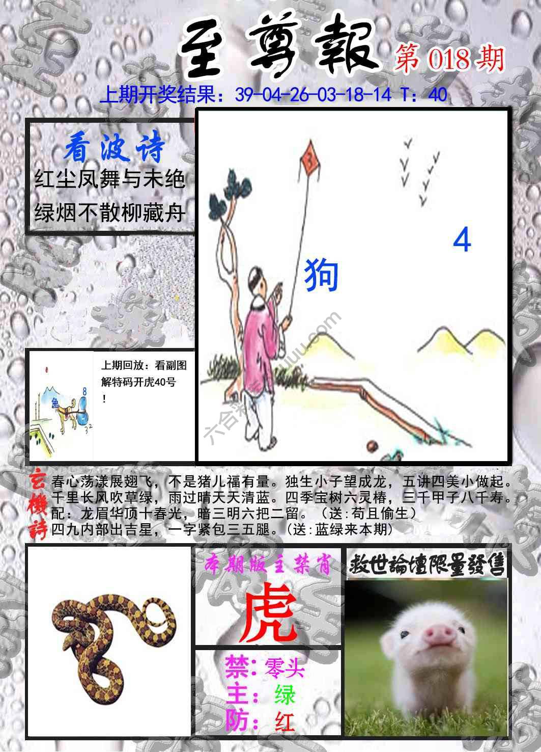 至尊报