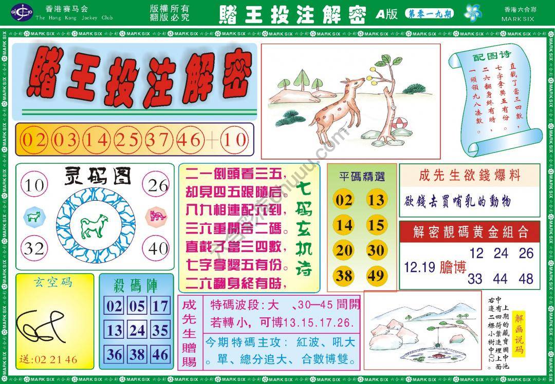 赌王投注解密