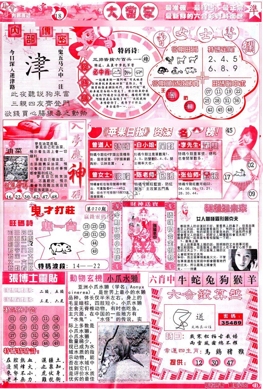 大当家