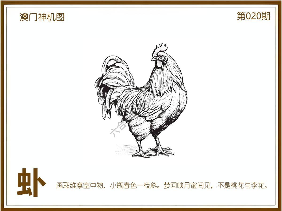 澳门神机图