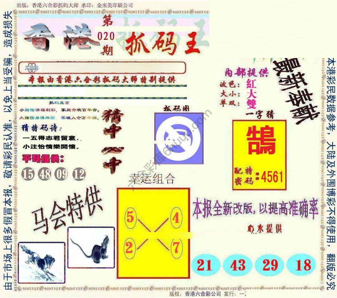 新抓码王