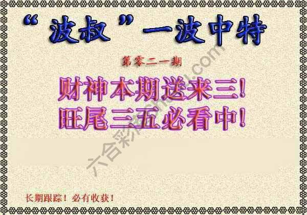 波叔一波中特