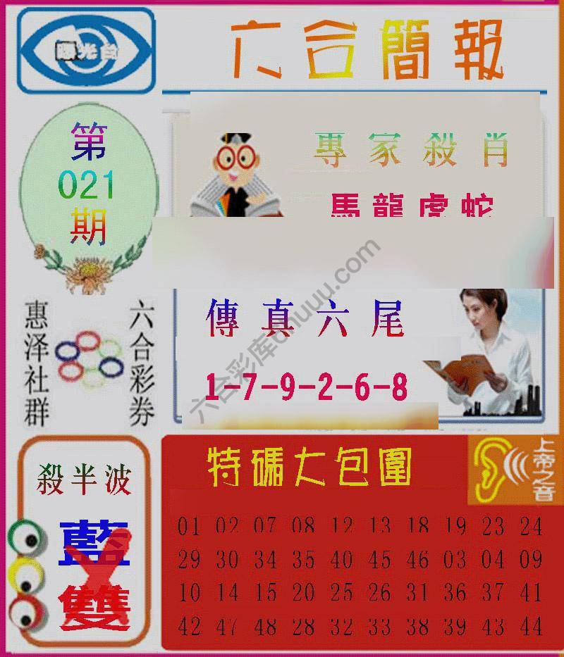 六合简报