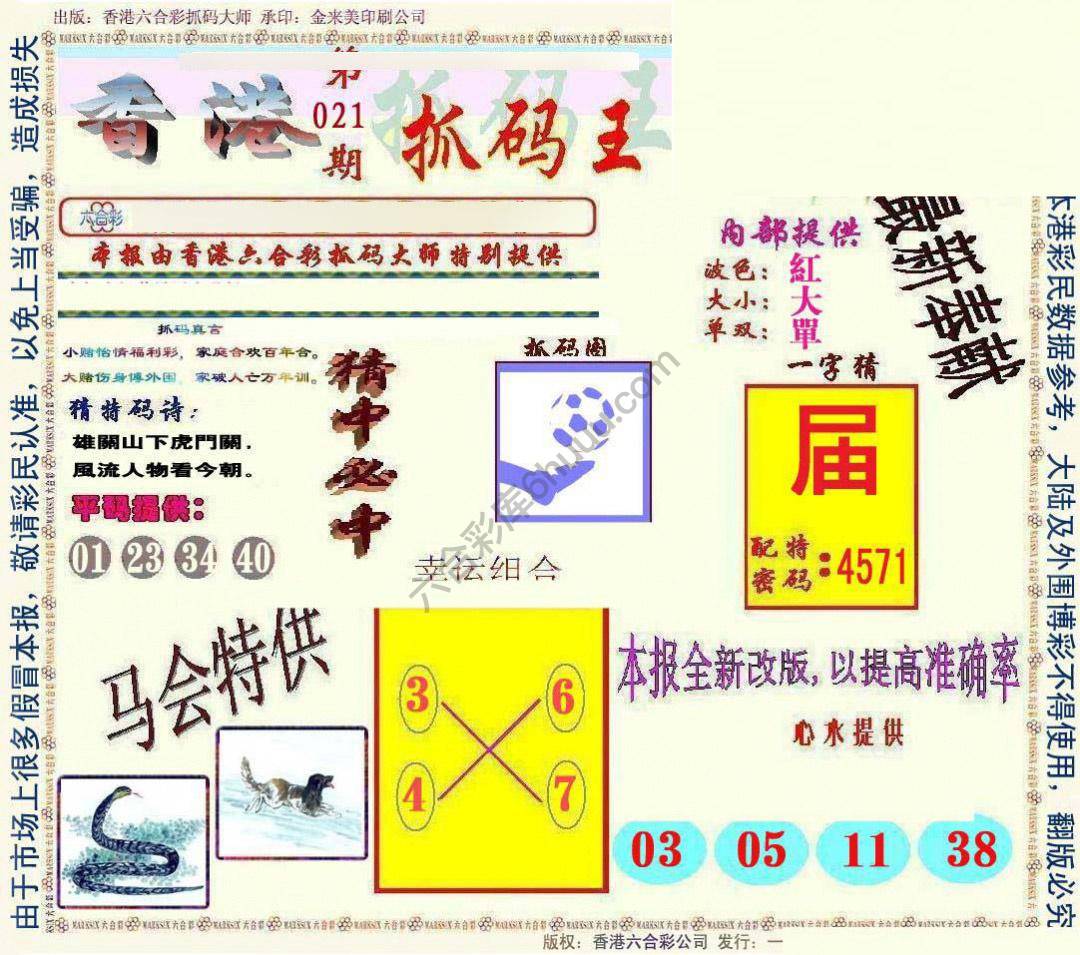 新抓码王