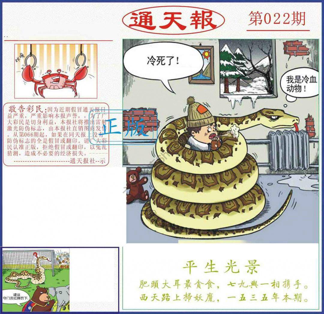 正版通天报
