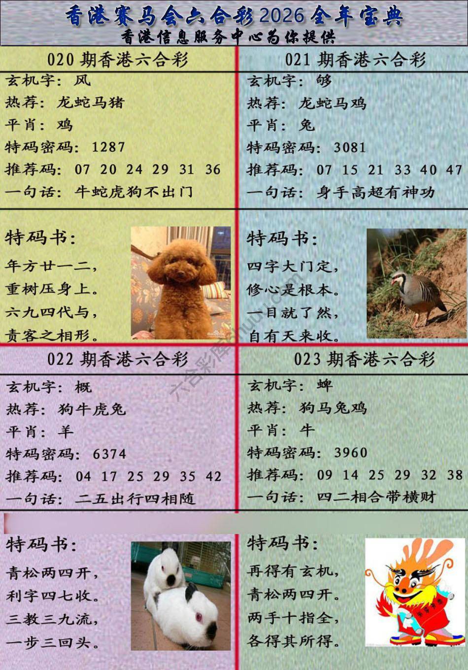 宝典报