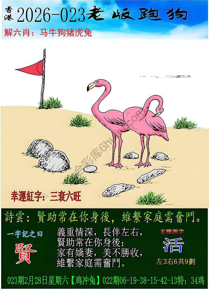 老版跑狗图