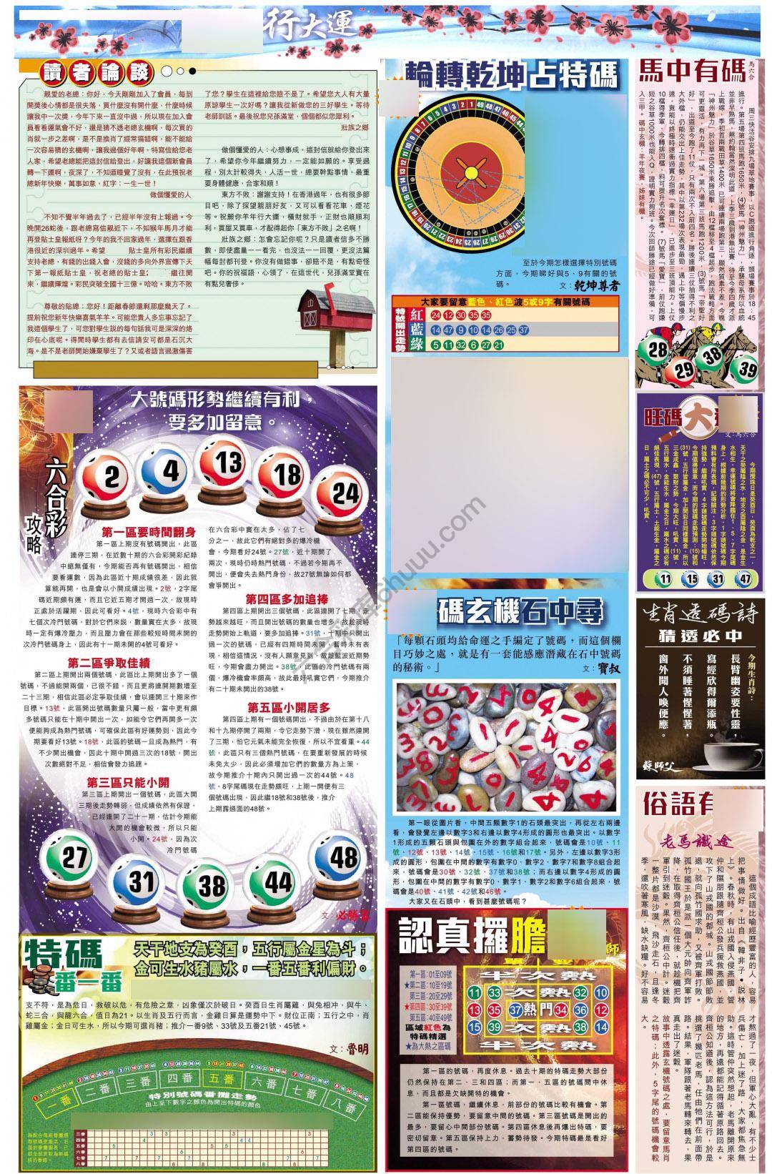 大版贴士皇