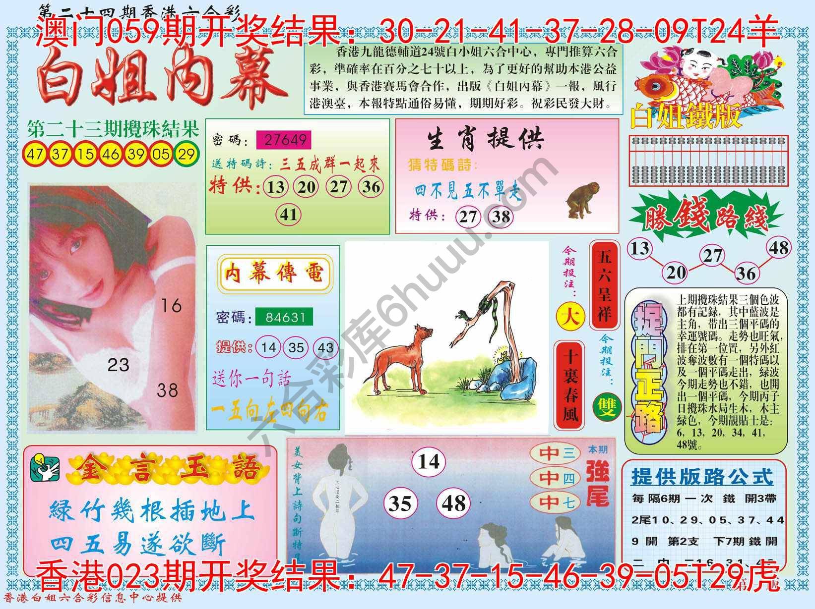 白姐内幕