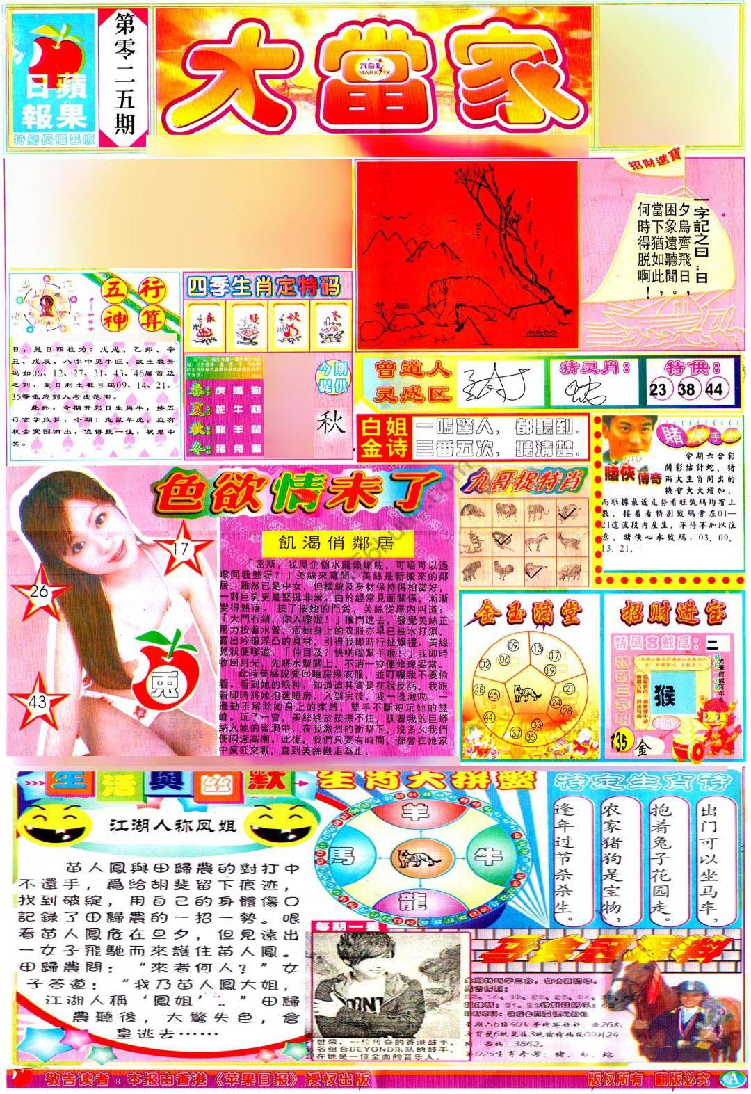 大当家