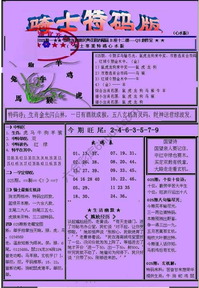 另类骑士特码版