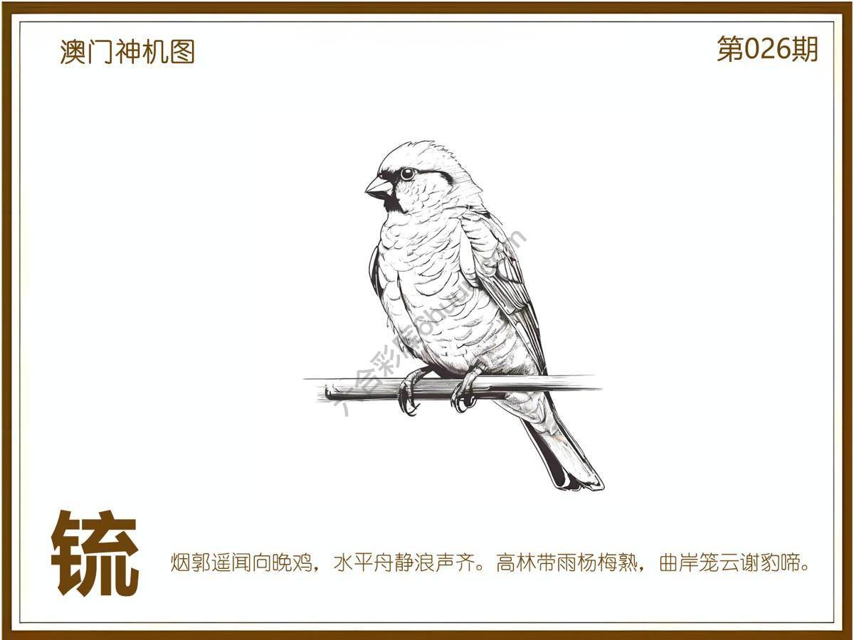 澳门神机图