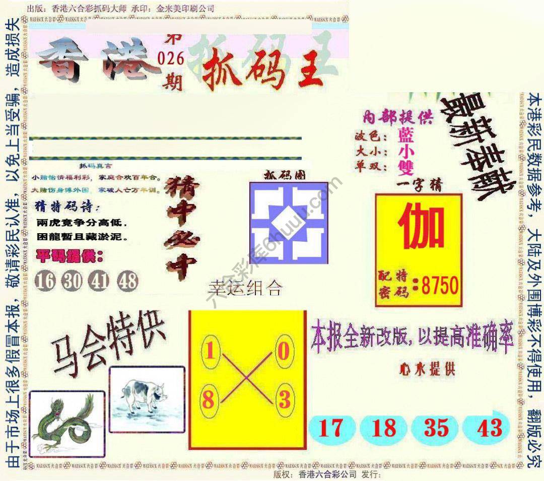 新抓码王