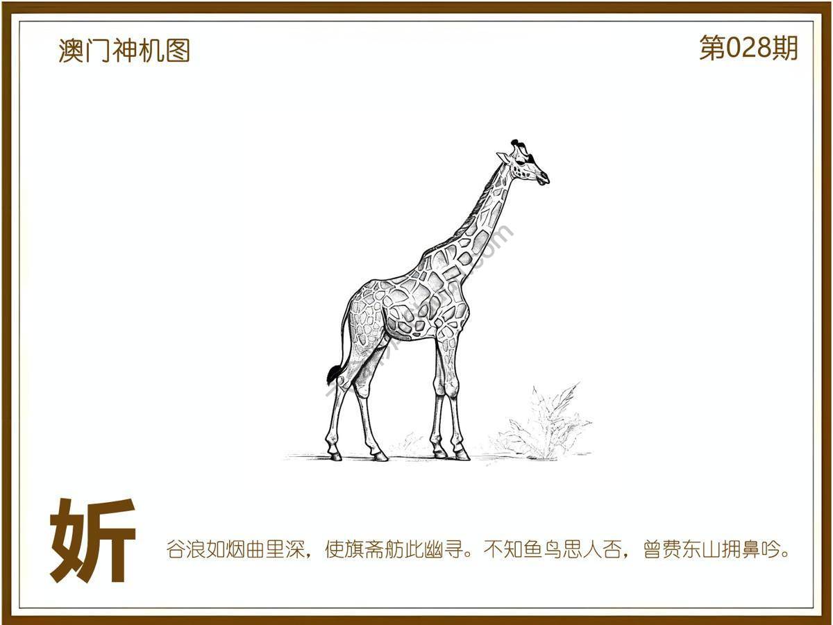 澳门神机图