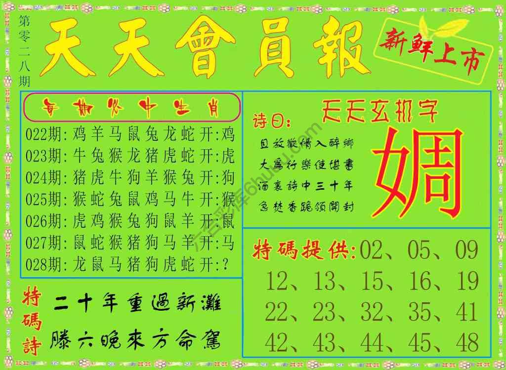 天天会员报