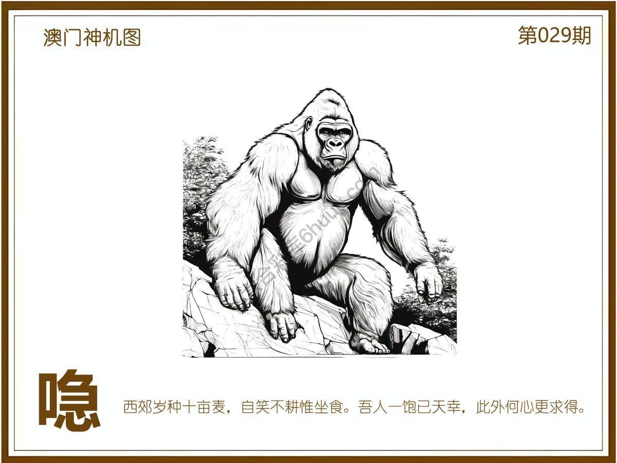 澳门神机图