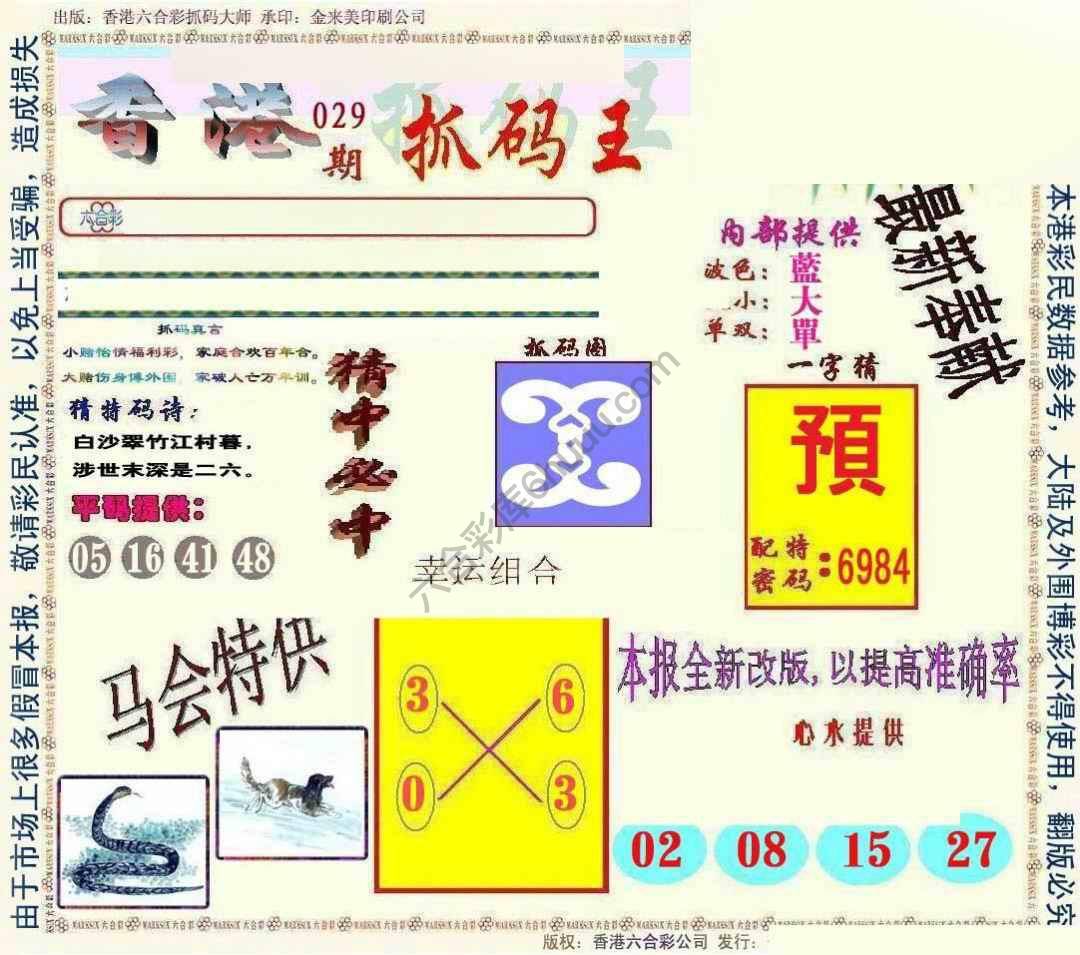 新抓码王