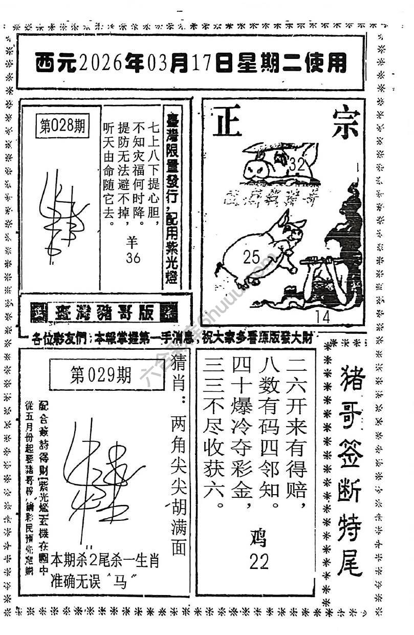 猪哥签断特尾